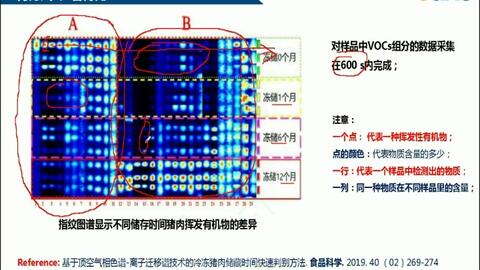 光纤束腰