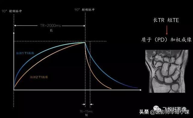 金属加磁原理，从基础概念到实际应用