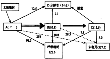 生物能源与制动系统的配件组成及其相互关系